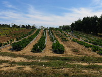 jef_20100925_026