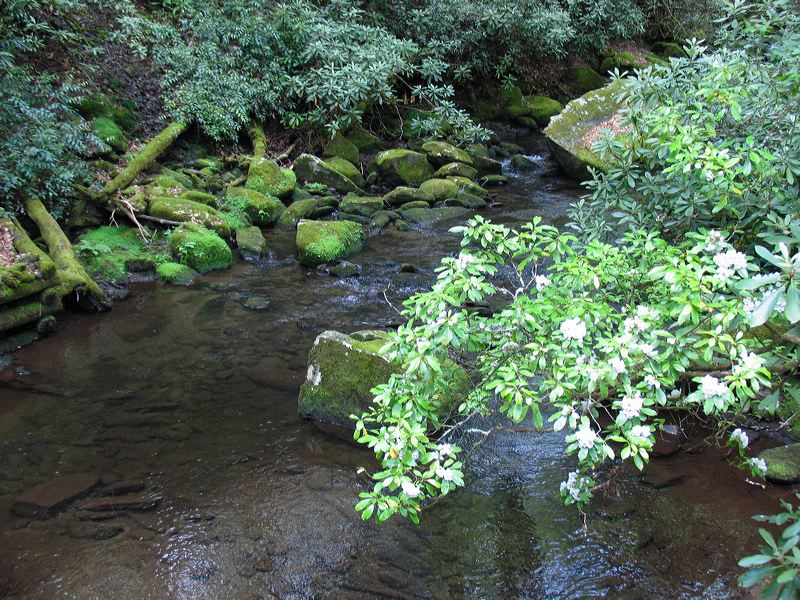 jef_20070605_013.jpg
