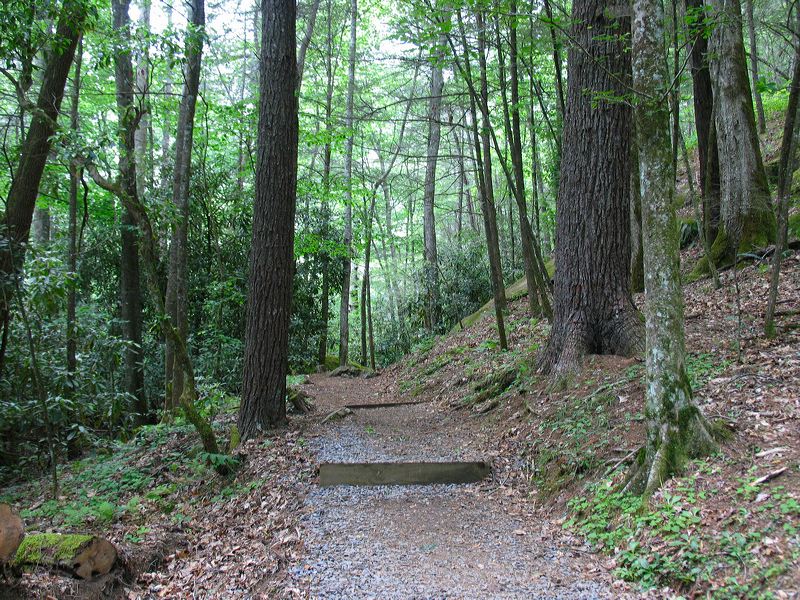 jef_20070605_014.jpg